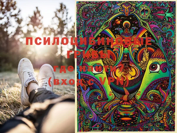 ГАЛЛЮЦИНОГЕННЫЕ ГРИБЫ Балахна