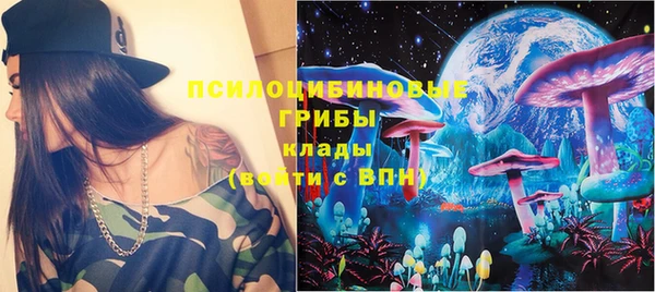 ГАЛЛЮЦИНОГЕННЫЕ ГРИБЫ Балахна