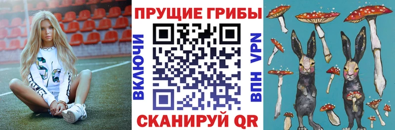 omg ССЫЛКА  Первомайск  Галлюциногенные грибы Psilocybine cubensis 